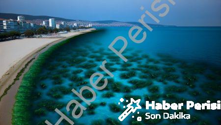 Marmara’da Yeni Kabus: İstilacı Katil Yosun Kıyıları Vurdu!