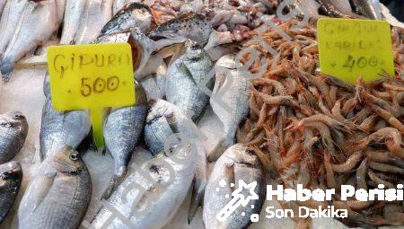 Foça Balık Hali’nde Kış Bereketi: Sardalya ve Uskumru Revaçta