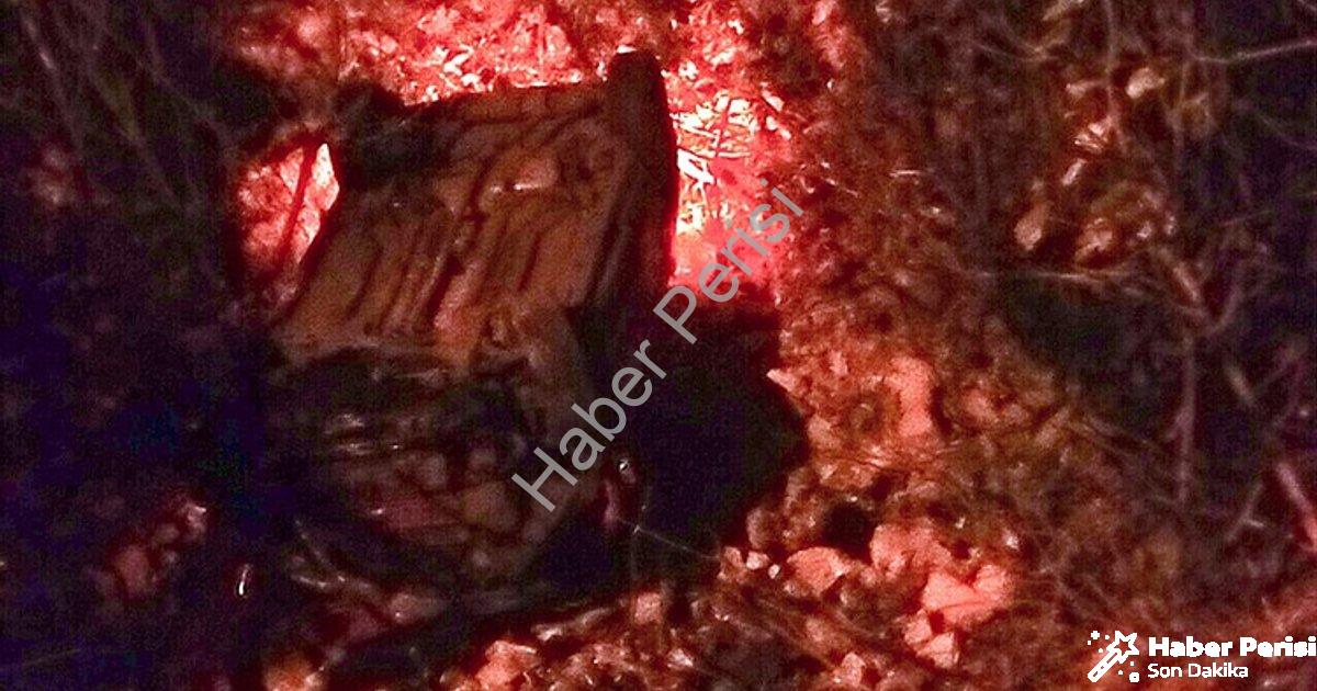 "Menteşe'de Korkutan Kaza: Araç Dereye Uçtu, Sürücü Yaralandı" başlıklı haber için fotorealistik, pr