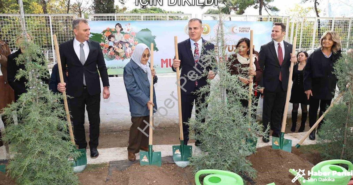 "Muğla'da 16 Bin 453 Fidan Öğretmenler İçin Dikildi" başlıklı haber için fotorealistik, profesyonel