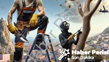 Afyonkarahisar’da Ağaç Budama Çalışmaları İçin Önemli Uyarı