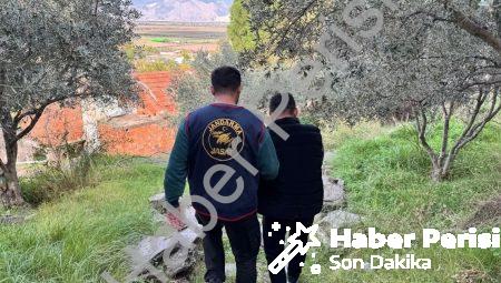 Söke’de Film Gibi Operasyon: Firari Şahıs Ormanda Kıskıvrak Yakalandı