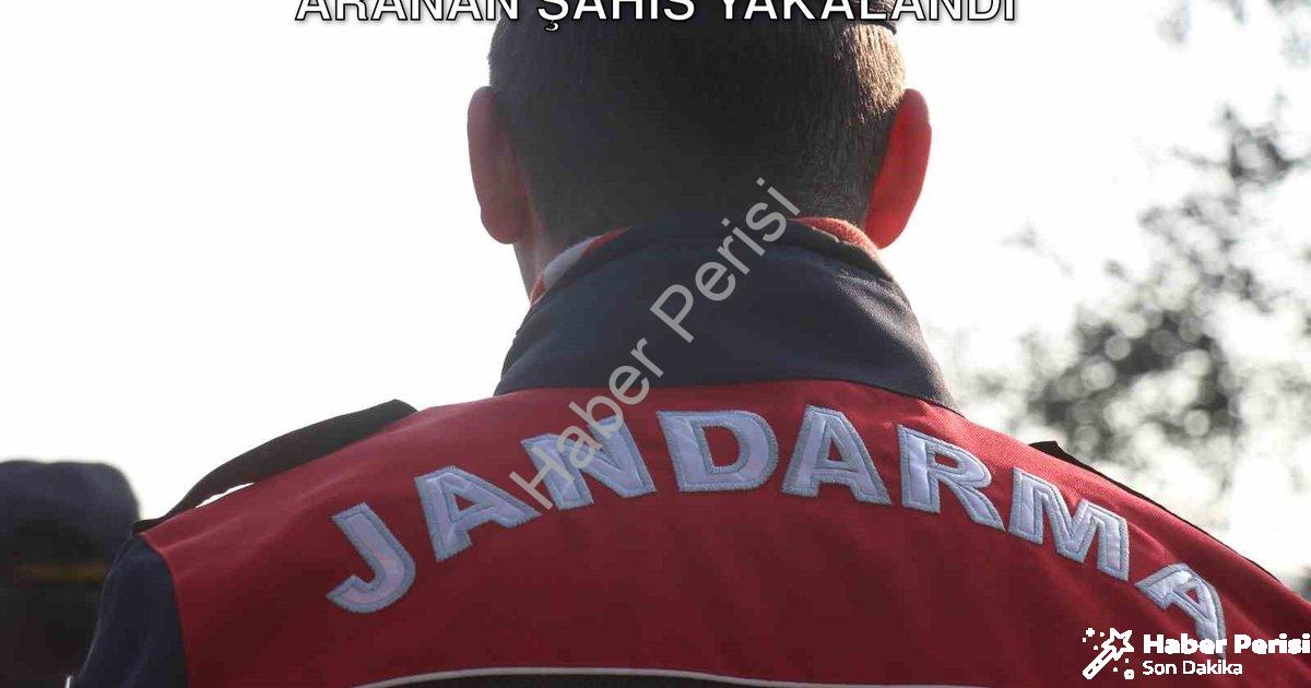 "Aydın'da Jandarma'dan Dev Operasyon: 28 Aranan Şahıs Yakalandı" başlıklı haber için fotorealistik,