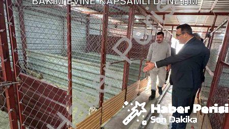 Sarıgöl Kaymakamı Halil Dalak’tan Hayvan Bakım Evine Kapsamlı Denetim