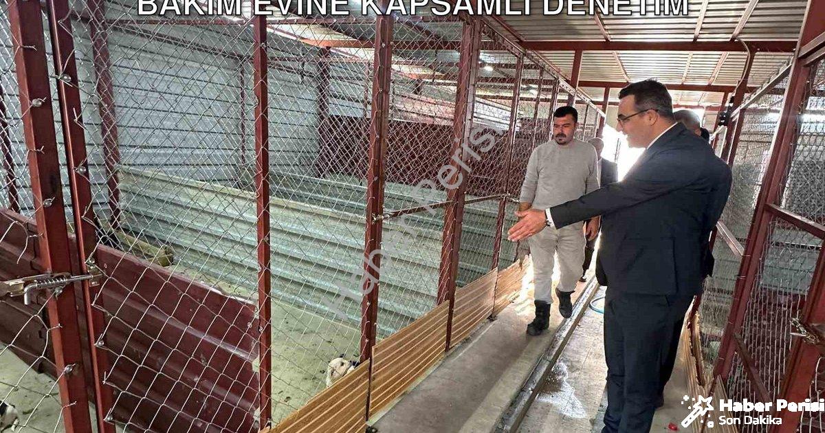 "Sarıgöl Kaymakamı Halil Dalak’tan Hayvan Bakım Evine Kapsamlı Denetim" başlıklı haber için fotoreal