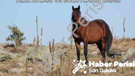 Afyonkarahisar’da Büyüleyen Görüntü: Yılkı Atları ve Bulutların Dansı