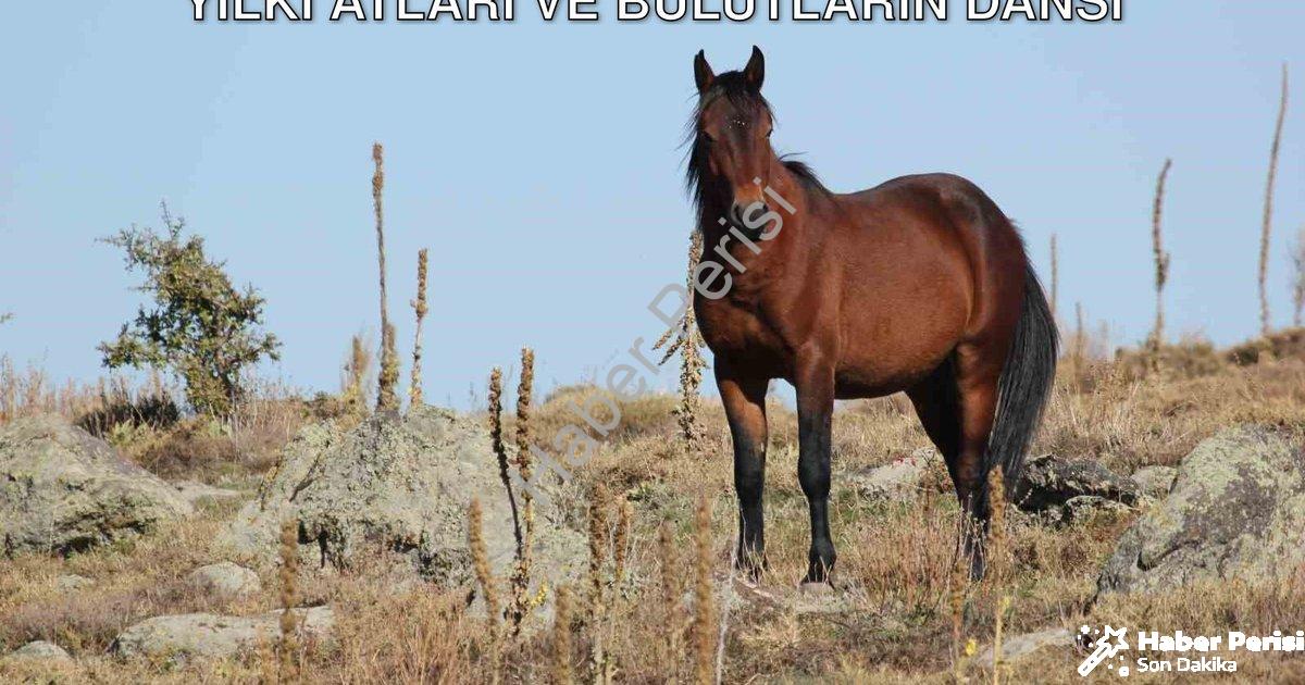 "Afyonkarahisar'da Büyüleyen Görüntü: Yılkı Atları ve Bulutların Dansı" başlıklı haber için fotoreal