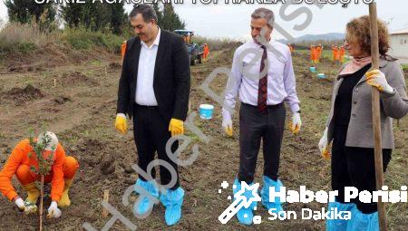 Dalaman Cezaevi’nde Üretim Seferberliği: Sakız Ağaçları Toprakla Buluştu