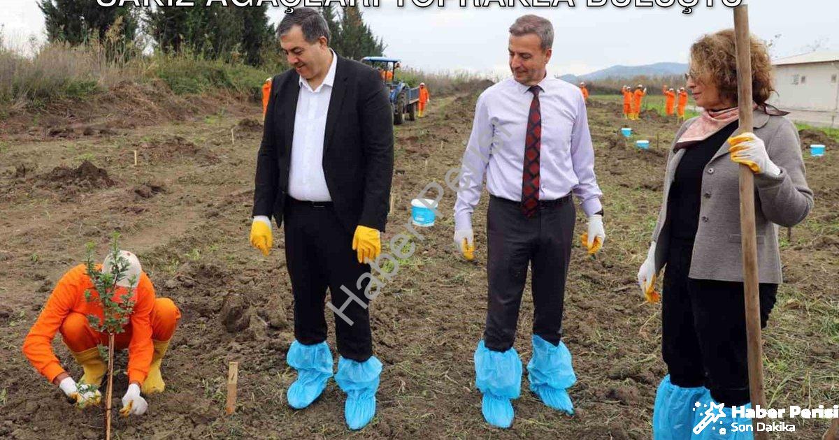 "Dalaman Cezaevi'nde Üretim Seferberliği: Sakız Ağaçları Toprakla Buluştu" başlıklı haber için fotor