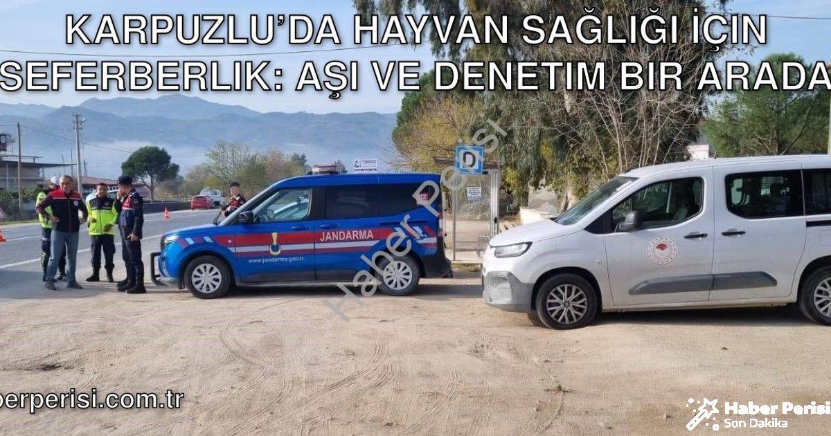 "Karpuzlu’da Hayvan Sağlığı İçin Seferberlik: Aşı ve Denetim Bir Arada" başlıklı haber için fotoreal
