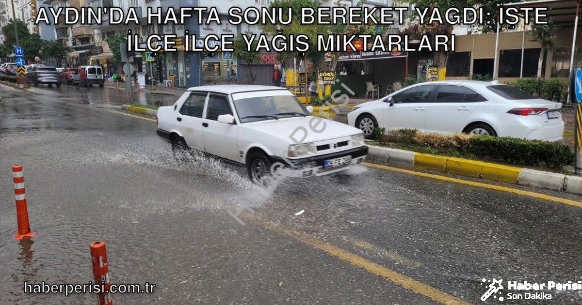 "Aydın'da Hafta Sonu Bereket Yağdı: İşte İlçe İlçe Yağış Miktarları" başlıklı haber için fotorealist