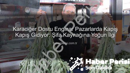 Karaciğer Dostu Enginar Pazarlarda Kapış Kapış Gidiyor: Şifa Kaynağına Yoğun İlgi