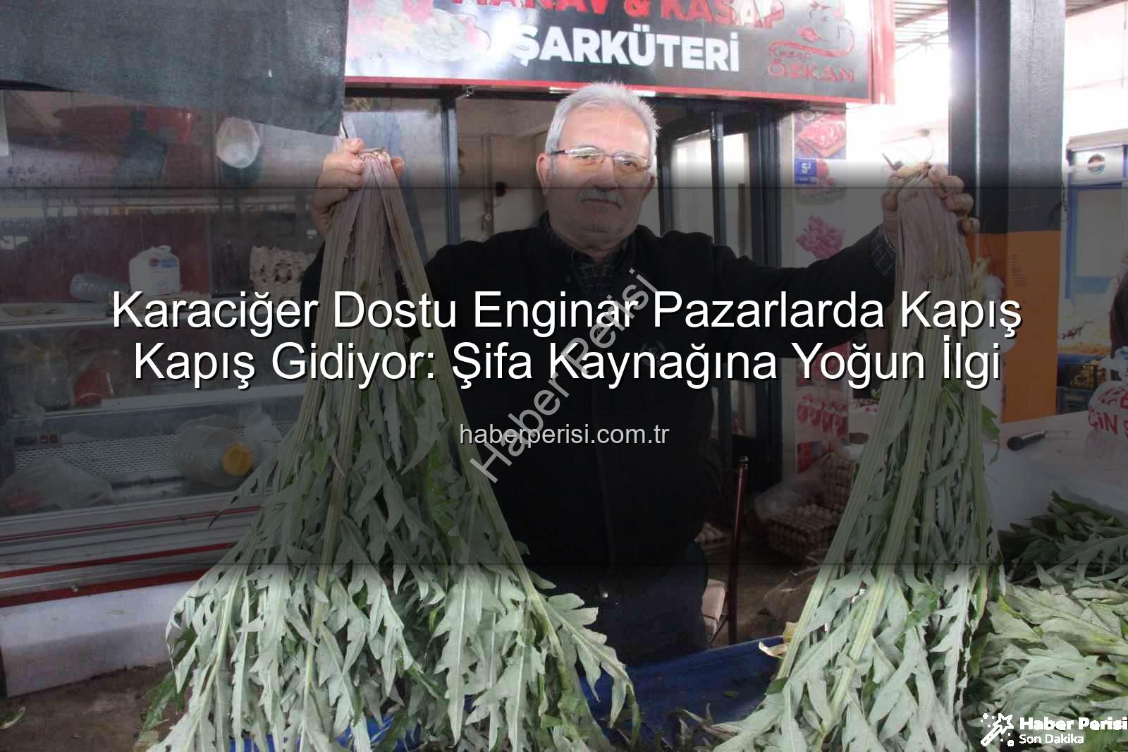 karaciğer dostu enginar - Karaciğer Dostu Enginar Pazarlarda Kapış Kapış Gidiyor: Şifa Kaynağına Yoğun İlgi