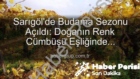 Sarıgöl’de Sonbaharın Büyüsü: Üzüm Bağlarında Kartpostallık Manzaralar Eşliğinde Budama Çalışmaları Devam Ediyor