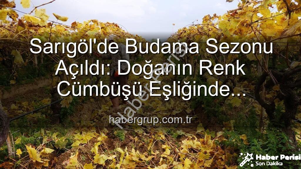 Sarıgöl budama çalışmaları - Sarıgöl'de Sonbaharın Büyüsü: Üzüm Bağlarında Kartpostallık Manzaralar Eşliğinde Budama Çalışmaları Devam Ediyor