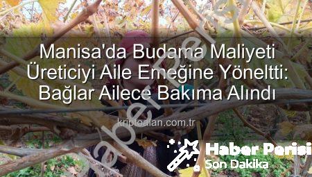 Manisa’da Üzüm Bağlarında Budama Maliyeti Aile Emeğine Dayalı Çözümlerle Düşüyor