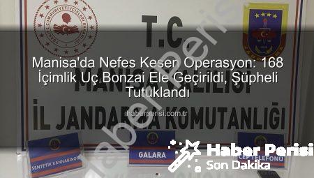 Manisa’da Nefes Kesen Operasyon: 168 İçimlik Uç Bonzai Ele Geçirildi, Şüpheli Tutuklandı