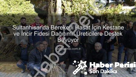 Sultanhisar’da Bereketli Hasat İçin Kestane ve İncir Fidesi Dağıtımı: Üreticilere Destek Büyüyor