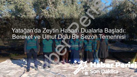 Yatağan’da Zeytin Hasadı Dualarla Başladı: Bereket ve Umut Dolu Bir Sezon Temennisi