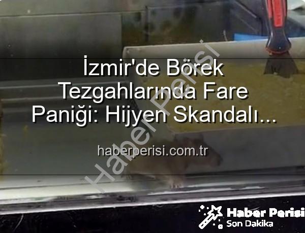 börek tezgahlarında fare - İzmir'de Börek Tezgahlarında Fare Paniği: Hijyen Skandalı Ortaya Çıktı, İşletme Mühürlendi!