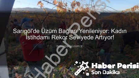 Sarıgöl’de Üzüm Bağları Yenileniyor: Kadın İstihdamı Rekor Seviyede Artıyor!