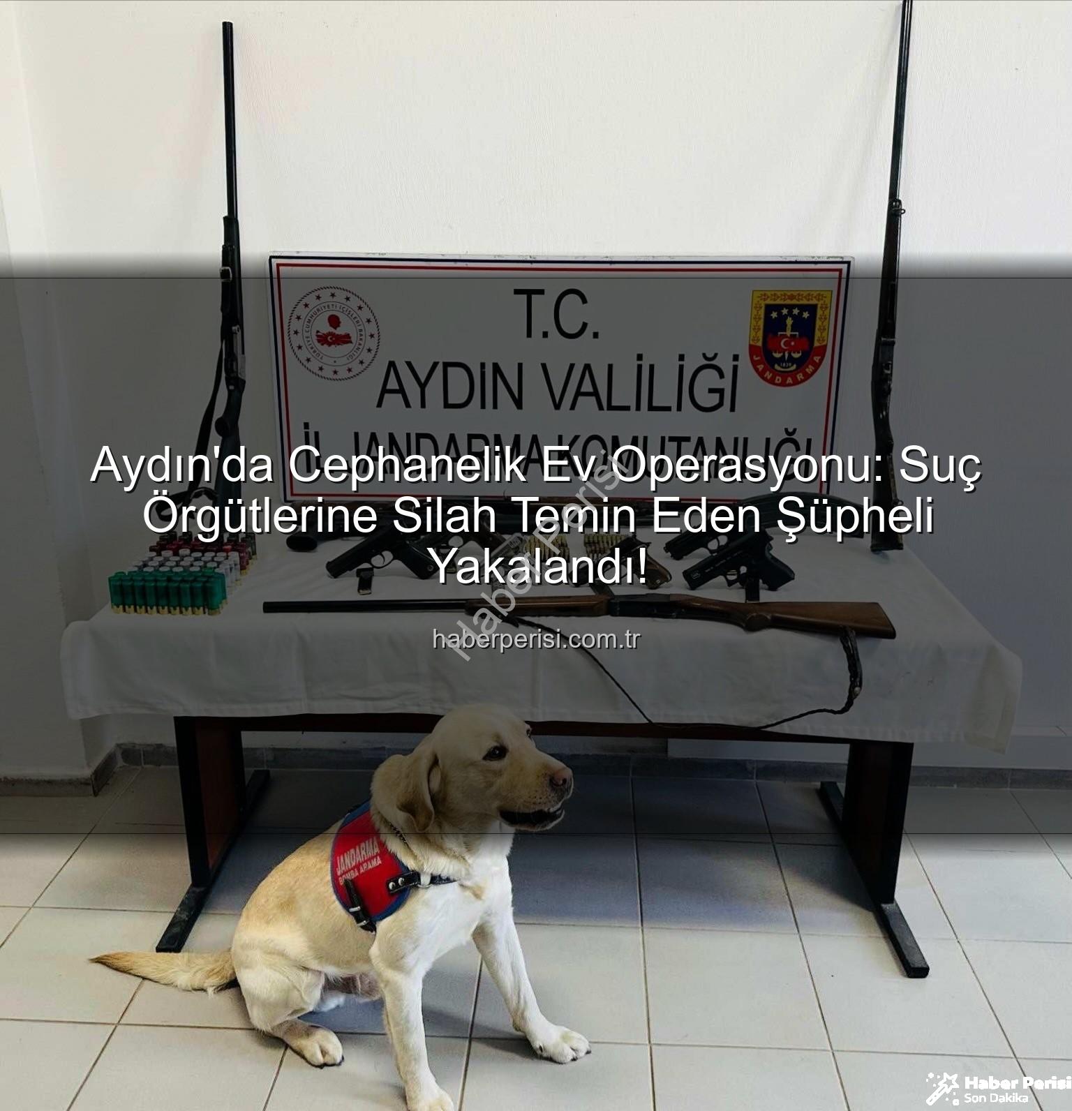 ruhsatsız silah - Aydın'da Cephanelik Ev Operasyonu: Suç Örgütlerine Silah Temin Eden Şüpheli Yakalandı!