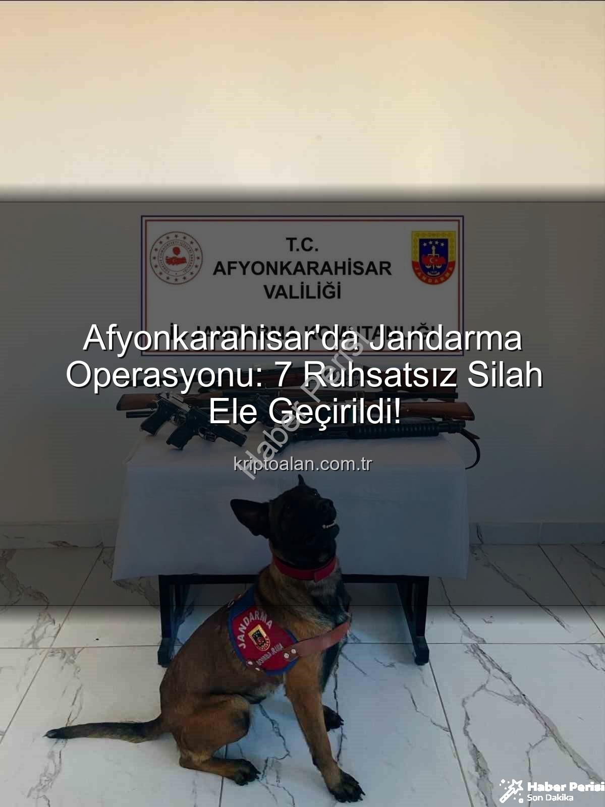 ruhsatsız silah - Afyonkarahisar'da Nefes Kesen Operasyon: Ruhsatsız Silahlar Jandarmadan Toplandı!