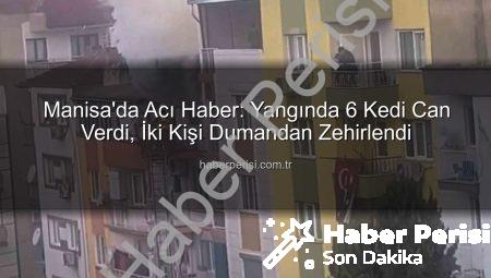Manisa’da Acı Haber: Yangında 6 Kedi Can Verdi, İki Kişi Dumandan Zehirlendi