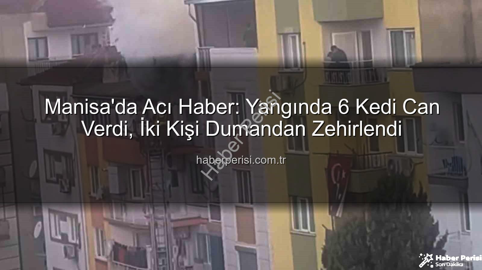 Manisa ev yangını - Manisa'da Acı Haber: Yangında 6 Kedi Can Verdi, İki Kişi Dumandan Zehirlendi