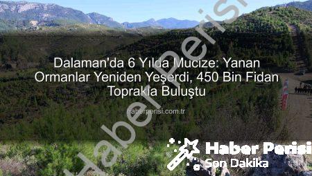 Dalaman’da 6 Yılda Mucize: Yanan Ormanlar Yeniden Yeşerdi, 450 Bin Fidan Toprakla Buluştu