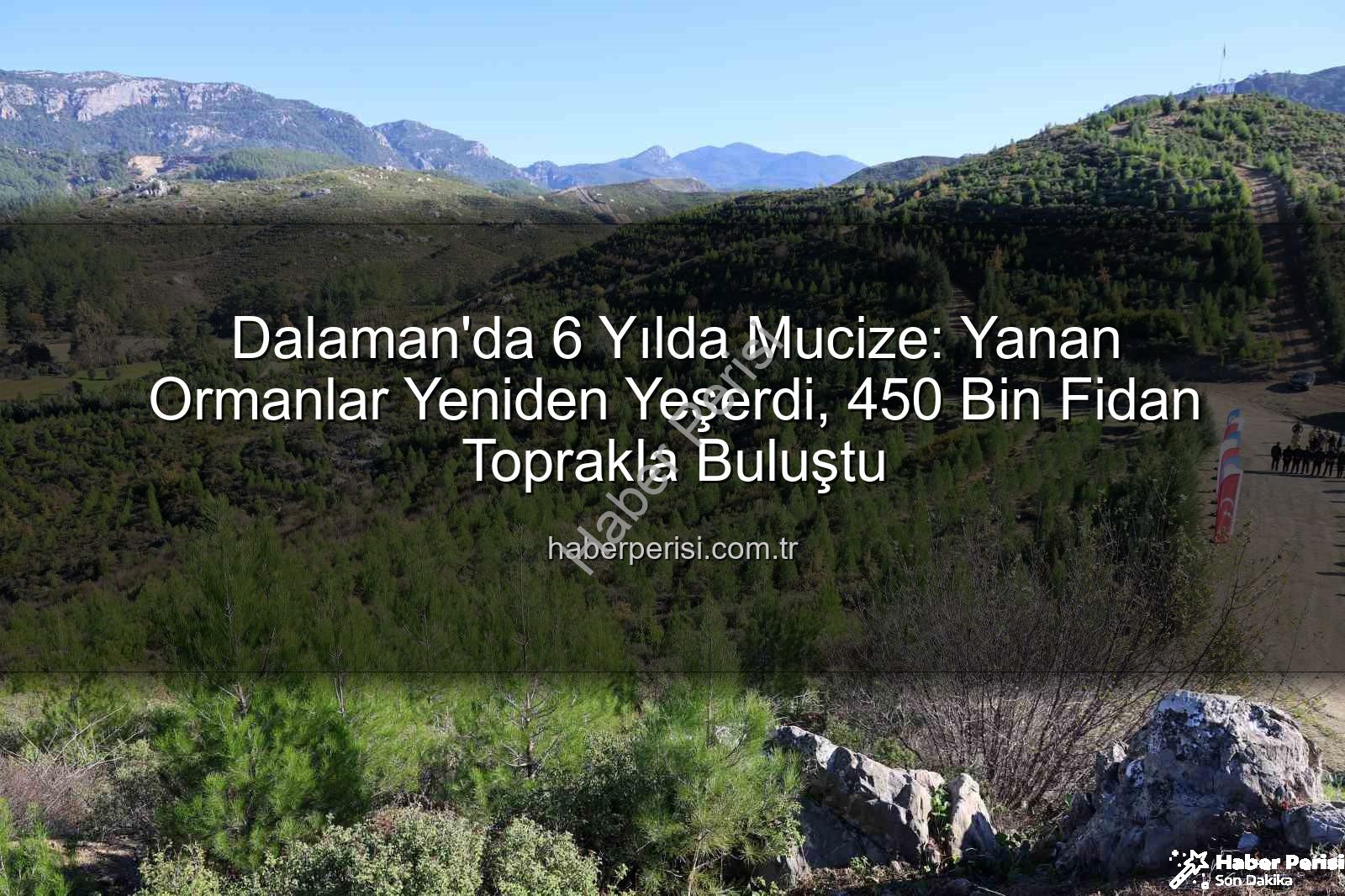 orman yangını sonrası - Dalaman'da 6 Yılda Mucize: Yanan Ormanlar Yeniden Yeşerdi, 450 Bin Fidan Toprakla Buluştu