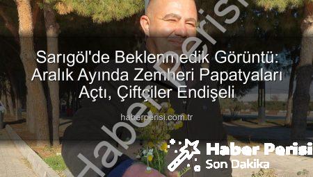 Sarıgöl’de Beklenmedik Görüntü: Aralık Ayında Zemheri Papatyaları Açtı, Çiftçiler Endişeli